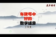 全国车牌抢号神器横空出世，抢号不再难！