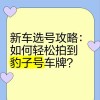成都车牌珍品：豹子号车牌，一号难求