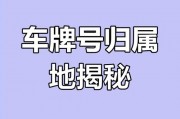 车牌靓号：车牌背后的故事与价值