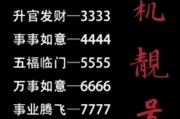吉祥如意，四位数车牌号见证幸福人生新篇章
