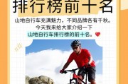 山地自行车品牌盘点：谁才是骑行江湖的佼佼者？