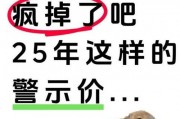 上海车牌价格波动：谁在操控这场疯狂的石头游戏？