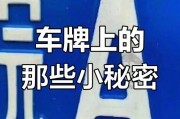 外科风云神秘车牌引发网友热议：揭开背后的秘密！