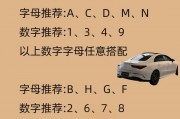 平原车牌靓号挑选攻略：如何轻松驾驭个性车牌
