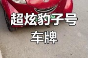 河南车牌靓号豹子亮相，车牌价值引发热议