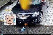 全国多地车牌识别系统出错，车主纷纷中招！