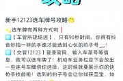 海口车牌靓号代办，一键预约，尊享专车服务！”