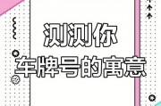 海伦车牌靓号查询网：热门车牌号码背后的秘密