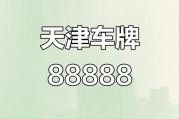 天津车牌靓号，价值几何？一探究竟
