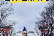 探寻古城西安的幸运印记：靓号车牌线上集结展