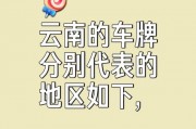 楚雄车牌大：独特标识彰显地方特色！