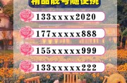 新乡市独家车牌靓号，抢购热线火热开启！”