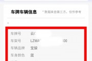 一键查询，轻松掌握汽车牌照信息