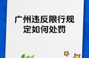 禁行令升级！黑底白字车牌，城市交通新规定引热议