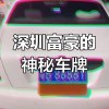 公司户车牌靓号争夺战：企业权益与车牌价值的法律博弈！”