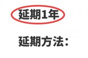 深圳家庭车牌指标争夺战：一牌难求，车主们如何应对？