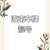 海口车牌新宠：靓号车牌，你的专属身份象征！”