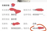 电动车车牌查询攻略：一网打尽车牌信息！