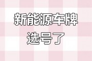 河南车牌选号，靓号背后的故事与传承