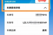临时车牌违章查询攻略：轻松了解罚单详情