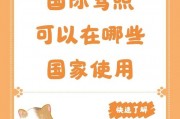 老司机跨界求欧美车牌：探索全球驾驶新体验