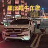 渝牌靓号惊现！车牌价值百万，车主身份曝光！