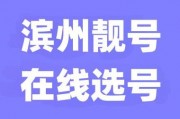 滨州车牌靓号选号，抢鲜开启，错过等一年
