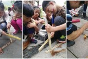 曾M车牌：探寻神秘车主背后的故事