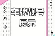 佛山车牌拍卖风云：靓号争夺战再现高潮