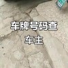 抢手车牌靓号，廊坊中介助力车主一号”到位！