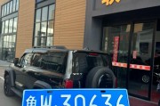 临沂车牌靓号直播，抢眼瞬间带你领略车牌魅力！
