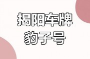 揭阳车牌靓号：探寻车牌背后的故事与价值