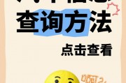 车牌号一扫，车主信息立现！热门车牌查询神器！