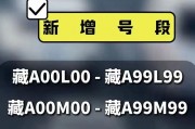 拉萨车牌号：独特标识背后的文化韵味