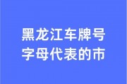 哈尔滨车牌号限时抢购，稀缺车牌等你来！
