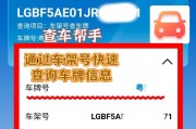 一键查询，快速掌握车牌信息！