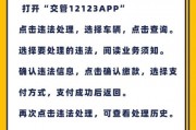 车牌神操作！教你如何不被摄像头捕捉，告别违章拍照烦恼