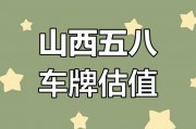 带8车牌，价值百万！热门车牌背后的惊人价格！