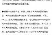 汽车牌照到手仅需3天，极速办理服务引热潮！