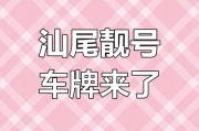 汕尾车牌靓号放号查询：最新放号信息，车牌号码等你来抢