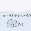 辽宁车牌号字母排序：探秘辽宁车界新潮流！