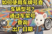 一招教你轻松查询车牌号背后的车主信息！
