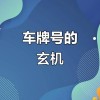 探寻靓号车牌背后的秘密：热门服务电话查询风云