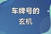 探寻靓号车牌背后的秘密：热门服务电话查询风云