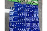 自编车牌，速度办理，轻松入手！
