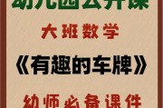 摇号车牌靓号：一场数字游戏的魅力之旅