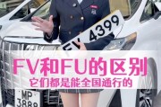 惊艳登场！fv车牌白色黄色搭配成为热门新宠！