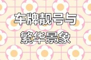 温州车牌中的珍宝：探寻那些靓号背后的故事