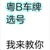 湛江车牌靓号直播：见证车牌选号风云