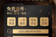 朝阳车牌靓号轻松到手，代办服务一键预约！